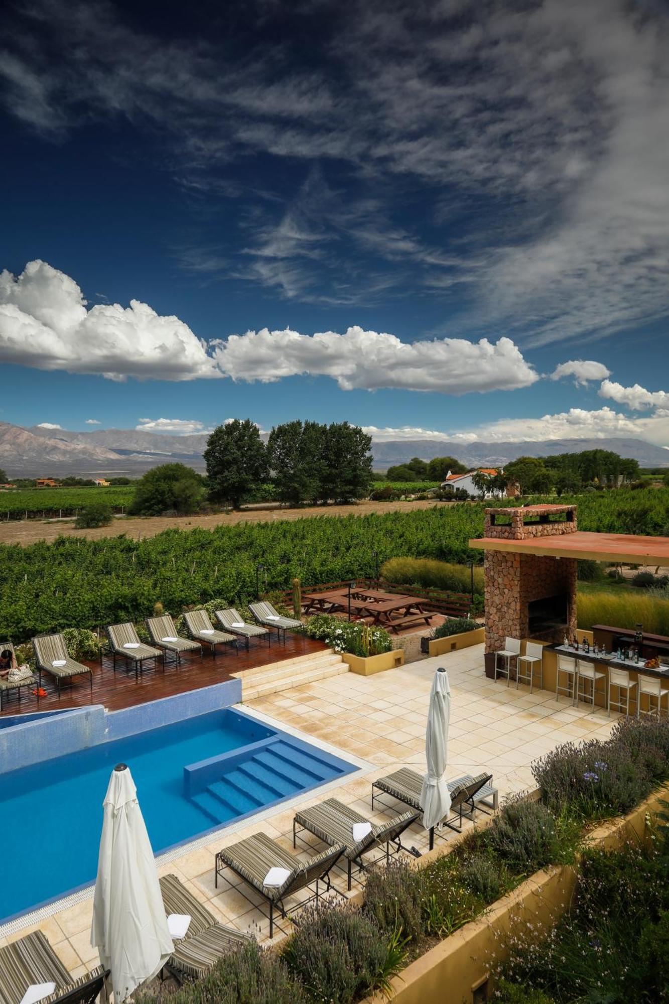 Grace Cafayate 호텔 외부 사진 A vineyard in the Uco Valley